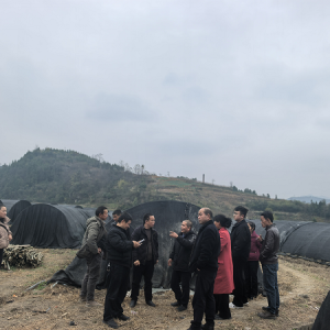 中山大學第二期貴州“頭雁”培育能力提升集訓班學員走進余慶香源菌業交流學習